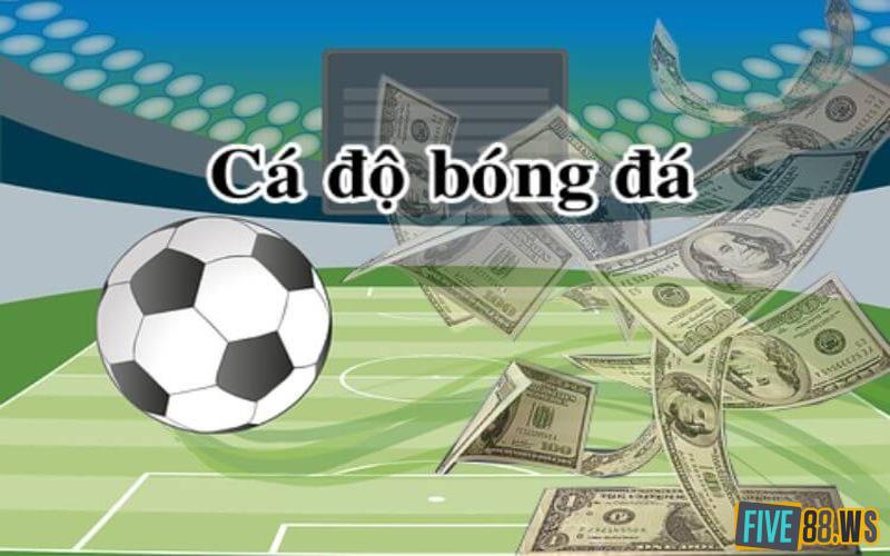 Y-nghia-cua-ca-do-bong-da-1